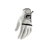 Mizuno 2022 Comp Glove